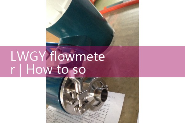 Lwgy flowmeter
